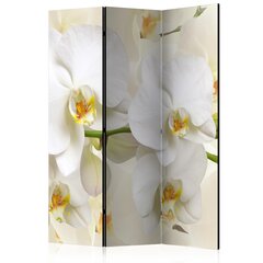 Sermi - Orchid Branch [Room Dividers] hinta ja tiedot | Sermit ja tilanjakajat | hobbyhall.fi