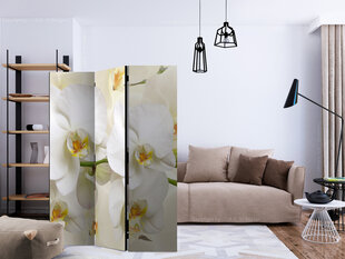 Sermi - Orchid Branch [Room Dividers] hinta ja tiedot | Sermit ja tilanjakajat | hobbyhall.fi