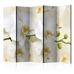 Sermi - Orchid Branch II [Room Dividers] hinta ja tiedot | Sermit ja tilanjakajat | hobbyhall.fi
