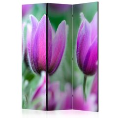 Sermi - Purple spring tulips [Room Dividers] hinta ja tiedot | Sermit ja tilanjakajat | hobbyhall.fi