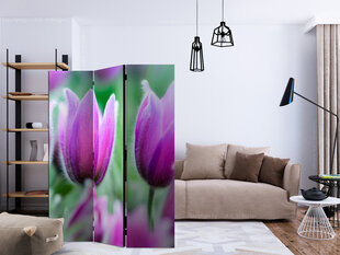 Sermi - Purple spring tulips [Room Dividers] hinta ja tiedot | Sermit ja tilanjakajat | hobbyhall.fi