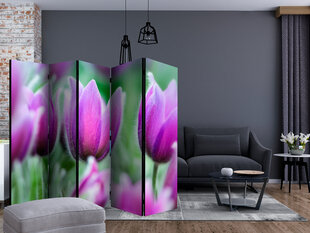 Sermi - Purple spring tulips II [Room Dividers] hinta ja tiedot | Sermit ja tilanjakajat | hobbyhall.fi