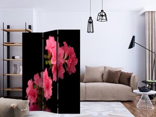 Sermi - Azalea in Black [Room Dividers] hinta ja tiedot | Sermit ja tilanjakajat | hobbyhall.fi