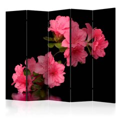 Sermi - Azalea in Black II [Room Dividers] hinta ja tiedot | Sermit ja tilanjakajat | hobbyhall.fi