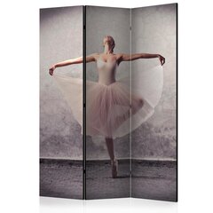 Sermi - Classical dance - poetry without words [Room Dividers] hinta ja tiedot | Sermit ja tilanjakajat | hobbyhall.fi