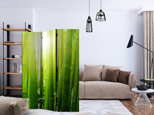 Sermi - Sun and bamboo [Room Dividers] hinta ja tiedot | Sermit ja tilanjakajat | hobbyhall.fi