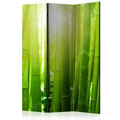 Sermi - Sun and bamboo [Room Dividers] hinta ja tiedot | Sermit ja tilanjakajat | hobbyhall.fi