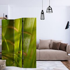 Sermi - bamboo - nature zen [Room Dividers] hinta ja tiedot | Sermit ja tilanjakajat | hobbyhall.fi
