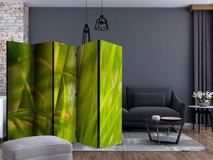 Sermi - bamboo - nature zen II [Room Dividers] hinta ja tiedot | Sermit ja tilanjakajat | hobbyhall.fi