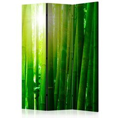 Sermi - Sun and bamboo [Room Dividers] hinta ja tiedot | Sermit ja tilanjakajat | hobbyhall.fi