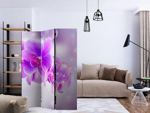Sermi - Purple Orchids [Room Dividers] hinta ja tiedot | Sermit ja tilanjakajat | hobbyhall.fi