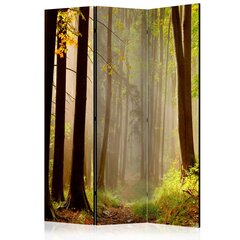 Sermi - Mysterious forest path [Room Dividers] hinta ja tiedot | Sermit ja tilanjakajat | hobbyhall.fi