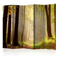 Sermi - Mysterious forest path II [Room Dividers] hinta ja tiedot | Sermit ja tilanjakajat | hobbyhall.fi