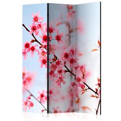 Sermi - Symbol of Japan - sakura flowers [Room Dividers] hinta ja tiedot | Sermit ja tilanjakajat | hobbyhall.fi
