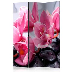 Sermi - Orchid flowers with zen stones [Room Dividers] hinta ja tiedot | Sermit ja tilanjakajat | hobbyhall.fi