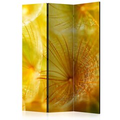 Sermi - Soft dandelion flower [Room Dividers] hinta ja tiedot | Sermit ja tilanjakajat | hobbyhall.fi