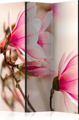 Sermi - Branch of magnolia tree [Room Dividers] hinta ja tiedot | Sermit ja tilanjakajat | hobbyhall.fi