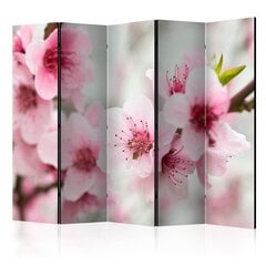 Sermi - Spring, blooming tree - pink flowers II [Room Dividers] hinta ja tiedot | Sermit ja tilanjakajat | hobbyhall.fi