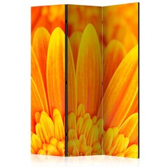 Sermi - Yellow gerbera daisies [Room Dividers] hinta ja tiedot | Sermit ja tilanjakajat | hobbyhall.fi