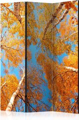 Sermi - Autumnal treetops [Room Dividers] hinta ja tiedot | Sermit ja tilanjakajat | hobbyhall.fi