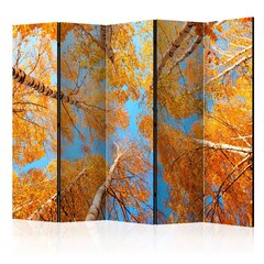 Sermi - Autumnal treetops II [Room Dividers] hinta ja tiedot | Sermit ja tilanjakajat | hobbyhall.fi