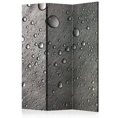 Sermi - Steel surface with water drops [Room Dividers] hinta ja tiedot | Sermit ja tilanjakajat | hobbyhall.fi