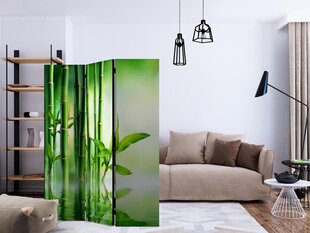 Sermi - Bamboo Grove [Room Dividers] hinta ja tiedot | Sermit ja tilanjakajat | hobbyhall.fi