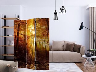 Sermi - Autumn Illumination [Room Dividers] hinta ja tiedot | Sermit ja tilanjakajat | hobbyhall.fi