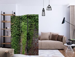 Sermi - Brick and ivy [Room Dividers] hinta ja tiedot | Sermit ja tilanjakajat | hobbyhall.fi