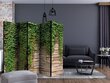 Sermi - Ivy wall II [Room Dividers] hinta ja tiedot | Sermit ja tilanjakajat | hobbyhall.fi