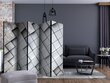 Sermi - Gray background 3D II [Room Dividers] hinta ja tiedot | Sermit ja tilanjakajat | hobbyhall.fi