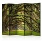 Sermi - Tree embrace II [Room Dividers] hinta ja tiedot | Sermit ja tilanjakajat | hobbyhall.fi