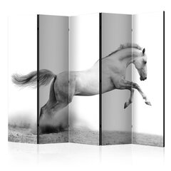 Sermi - White gallop II [Room Dividers] hinta ja tiedot | Sermit ja tilanjakajat | hobbyhall.fi