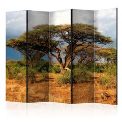 Sermi - Samburu National Reserve, Kenya II [Room Dividers] hinta ja tiedot | Sermit ja tilanjakajat | hobbyhall.fi