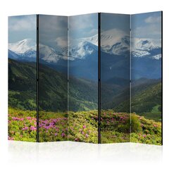 Sermi - Spring mountain landscape II [Room Dividers] hinta ja tiedot | Sermit ja tilanjakajat | hobbyhall.fi