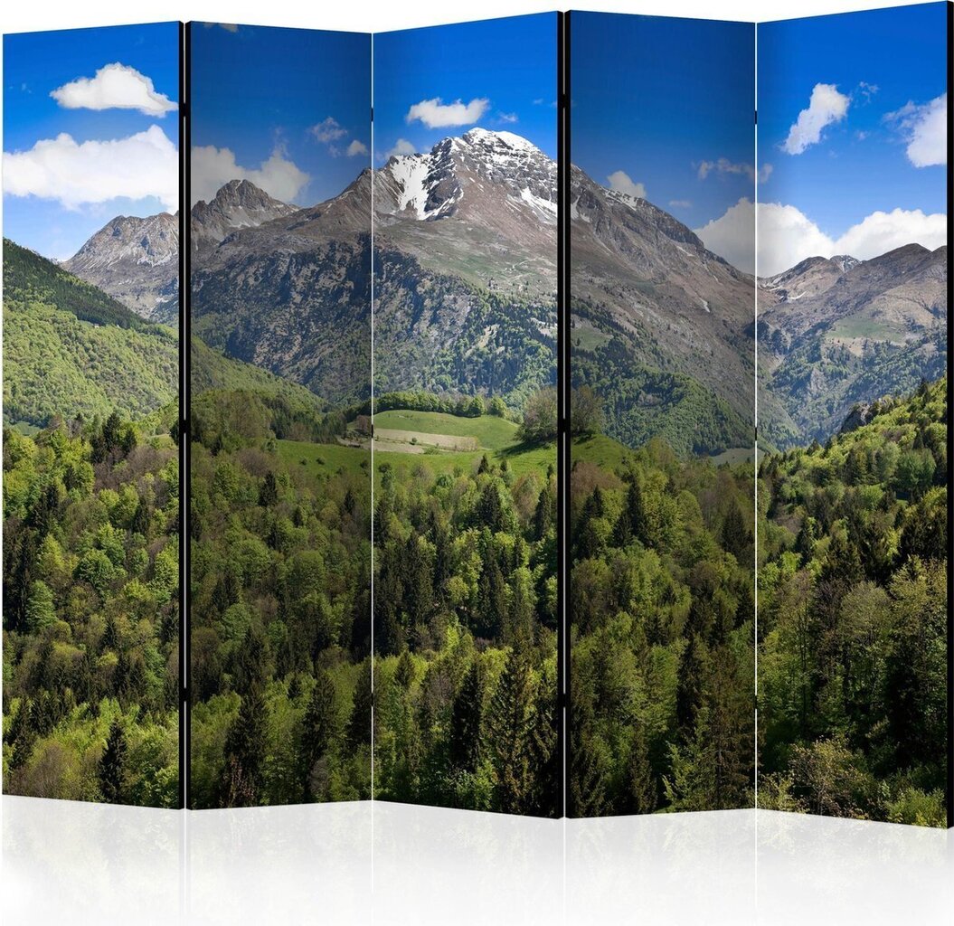 Sermi - Holiday in the mountains II [Room Dividers] hinta ja tiedot | Sermit ja tilanjakajat | hobbyhall.fi