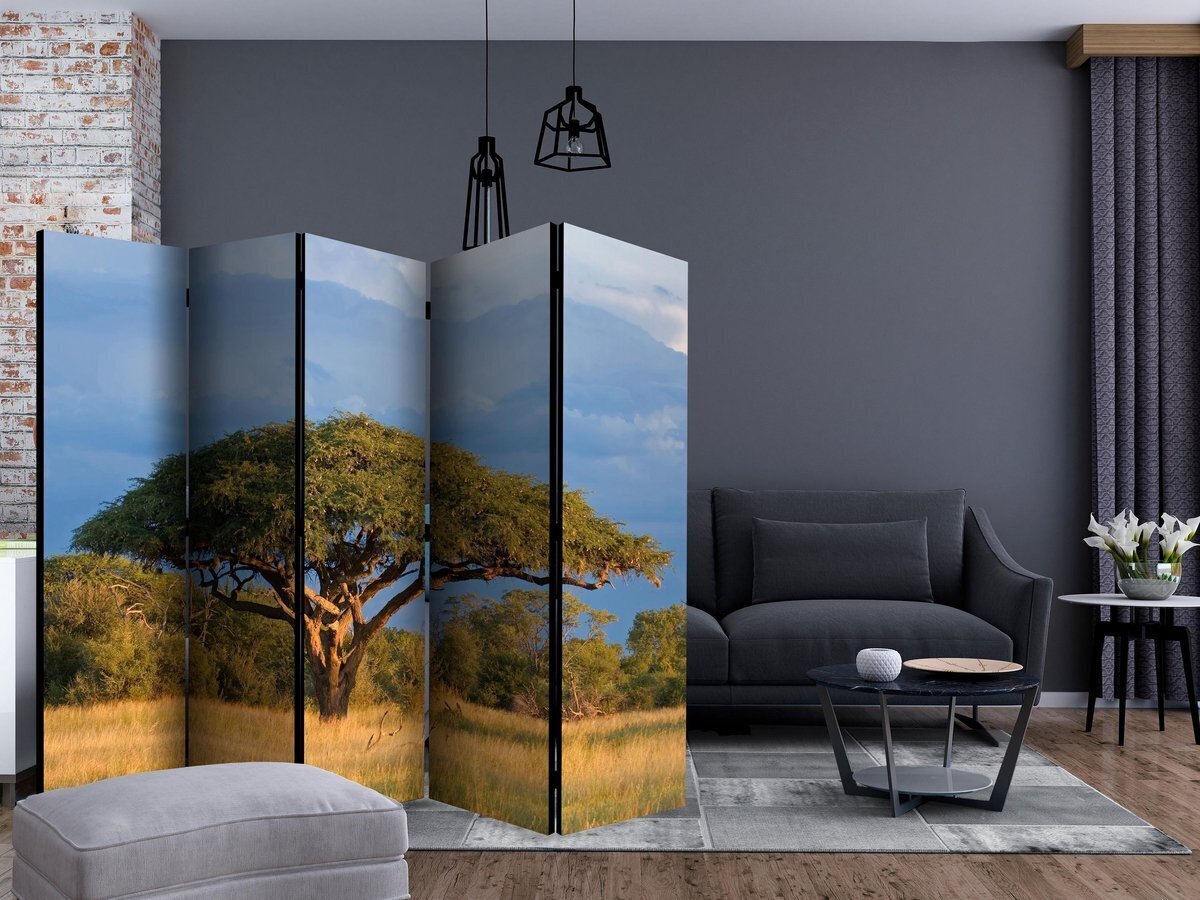 Sermi - African acacia tree, Hwange National Park, Zimbabwe II [Room Dividers] hinta ja tiedot | Sermit ja tilanjakajat | hobbyhall.fi