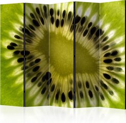 Sermi - fruits: kiwi II [Room Dividers] hinta ja tiedot | Sermit ja tilanjakajat | hobbyhall.fi