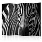 Sermi - White with black stripes II [Room Dividers] hinta ja tiedot | Sermit ja tilanjakajat | hobbyhall.fi