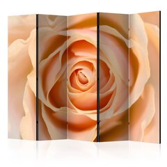 Sermi - Peach-colored rose II [Room Dividers] hinta ja tiedot | Sermit ja tilanjakajat | hobbyhall.fi