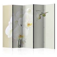 Sermi - White orchid II [Room Dividers] hinta ja tiedot | Sermit ja tilanjakajat | hobbyhall.fi