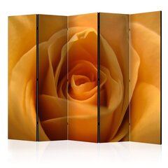 Sermi - Yellow rose – a symbol of friendship II [Room Dividers] hinta ja tiedot | Sermit ja tilanjakajat | hobbyhall.fi