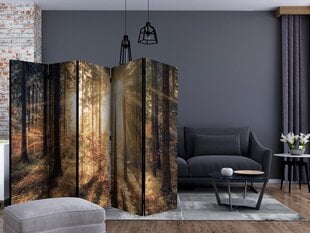Sermi - Autumnal Forest II [Room Dividers] hinta ja tiedot | Sermit ja tilanjakajat | hobbyhall.fi