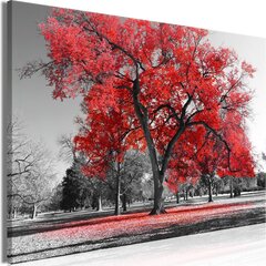 Kuva - Autumn in the Park (1 Part) Wide Red hinta ja tiedot | Taulut | hobbyhall.fi