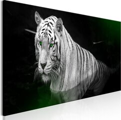 Image of Kuva - Shining Tiger (1 Part) Green Narrow