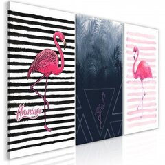 Kuva - Flamingos (Collection) hinta ja tiedot | Taulut | hobbyhall.fi