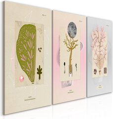 Kuva - Trees (Collection) hinta ja tiedot | Taulut | hobbyhall.fi