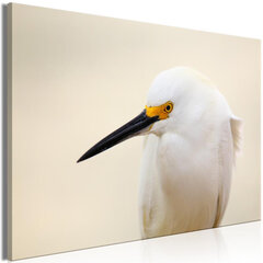 Kuva - Snowy Egret (1 Part) Wide hinta ja tiedot | Taulut | hobbyhall.fi