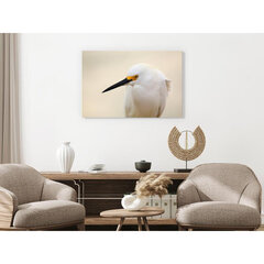 Kuva - Snowy Egret (1 Part) Wide hinta ja tiedot | Taulut | hobbyhall.fi