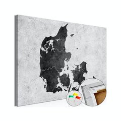 Korkkitaulu - Stone Denmark [Cork Map] hinta ja tiedot | Taulut | hobbyhall.fi
